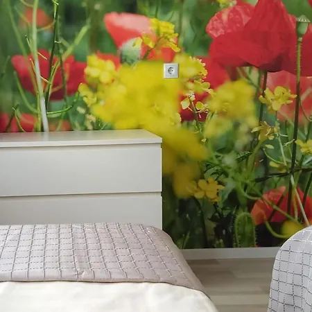 Abendsonne Appartement Coblence