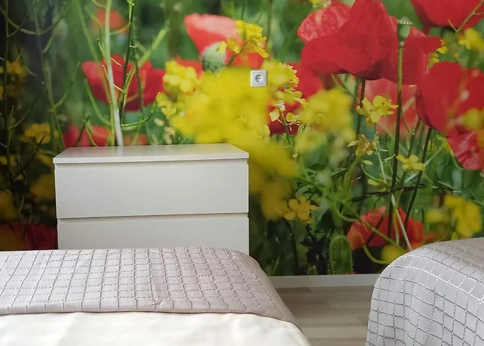 Abendsonne 아파트 코블렌츠