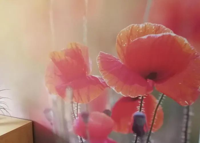 Abendsonne 아파트 *